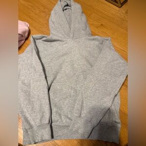 aritzia hoodie